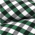 Pajarita Cuadros Vichy Verde y Blanca