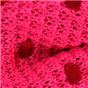 Pajarita Punto Rosa Lunares Rojos