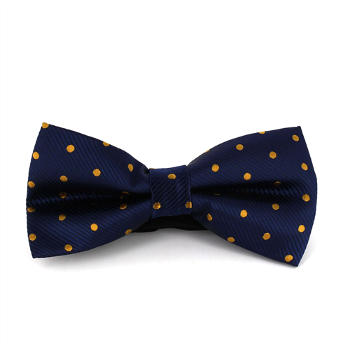 Nœud Papillon Bleu à Pois Dorés