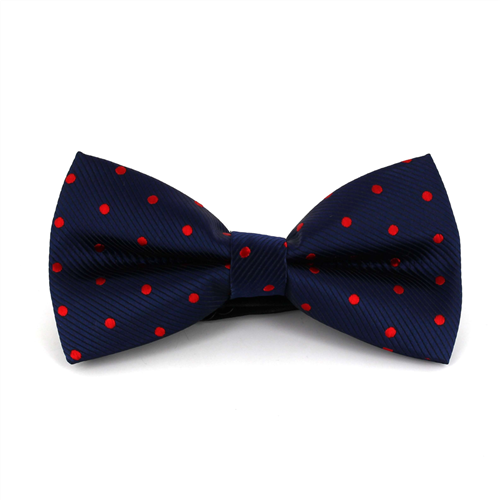 Nœud Papillon Bleu à Pois Rouges