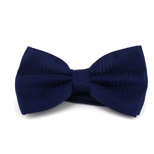Nœud Papillon Bleu Marine à Pois Bleu Marine