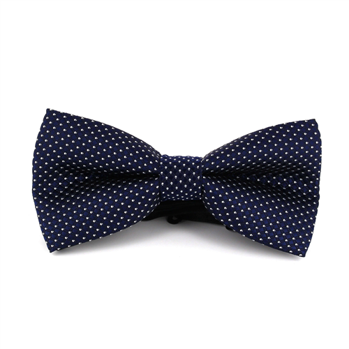 Nœud Papillon Bleu à Pois et Carreaux
