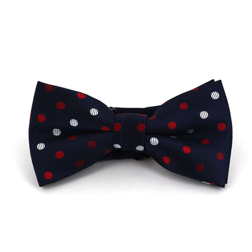 Nœud Papillon Bleu Marine à Pois Multicolores