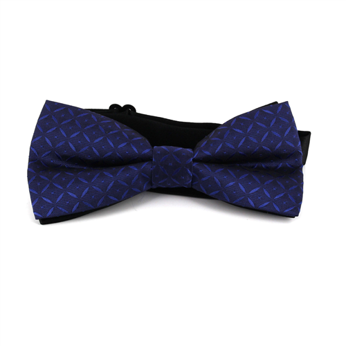 Nœud Papillon à carreaux bleus