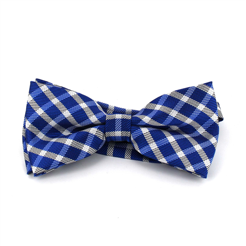 Nœud Papillon à carreaux bleus et blancs