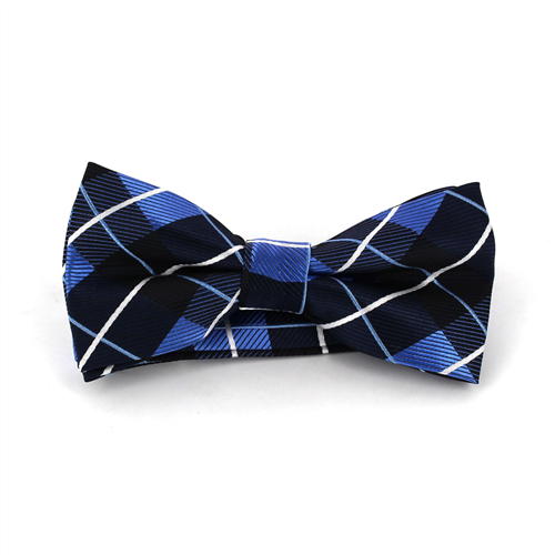 Nœud Papillon à carreaux bleus