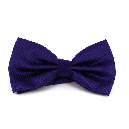 Nœud Papillon uni à carreaux violet
