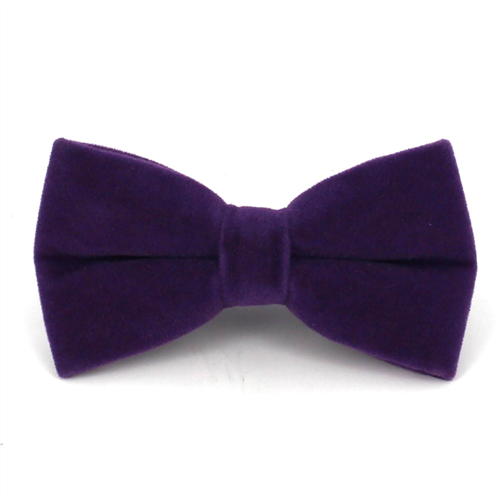 Nœud Papillon en velours violet uni