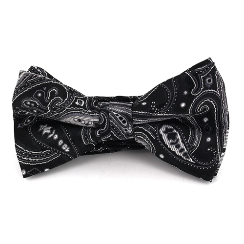 Nœud Papillon Paisley Noir et Argent