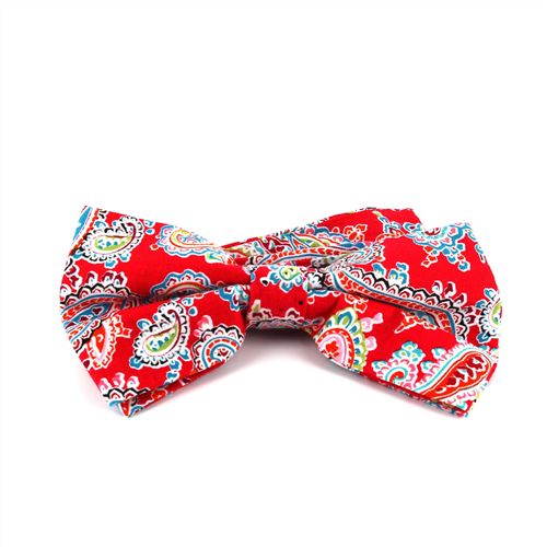 Nœud Papillon Paisley Rouge