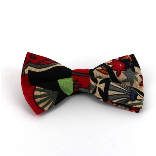 Nœud Papillon Paisley Rouge