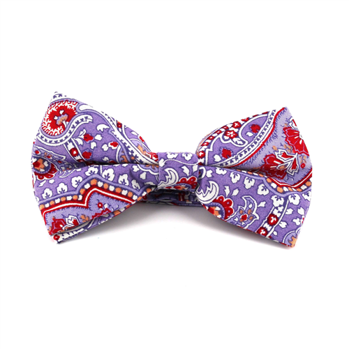 Nœud Papillon Paisley Violet