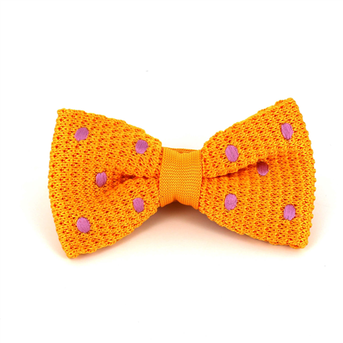 Nœud Papillon à pois jaune et violet