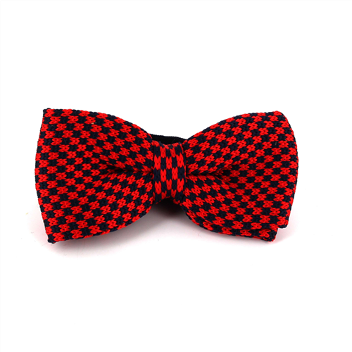 Nœud Papillon à pois rouges et bleus