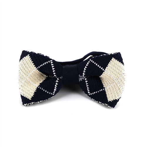 Nœud Papillon à carreaux bleus et blancs