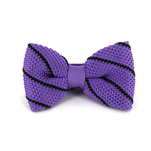 Nœud Papillon à pois violet à rayures noires