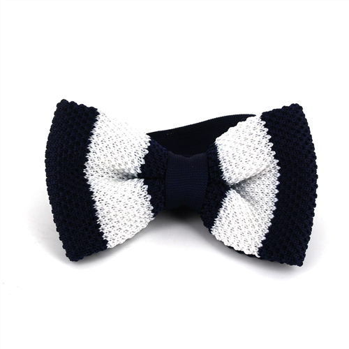 Nœud Papillon à pois rayé bleu et blanc