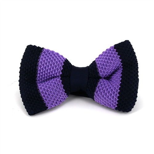 Nœud Papillon à rayures bleues et violettes