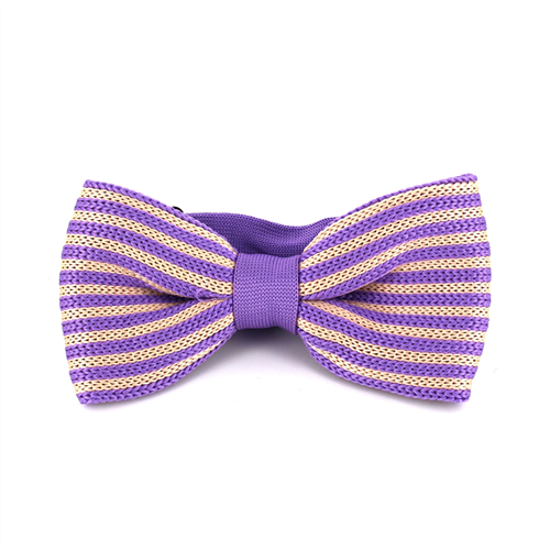 Nœud Papillon à rayures violettes et beige
