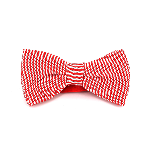 Nœud Papillon à pois rouges et blancs