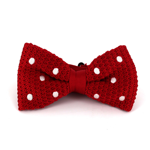Nœud Papillon à pois rouges sur fond blanc