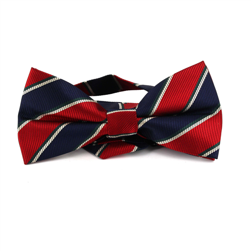 Nœud Papillon à rayures bleu marine et rouge