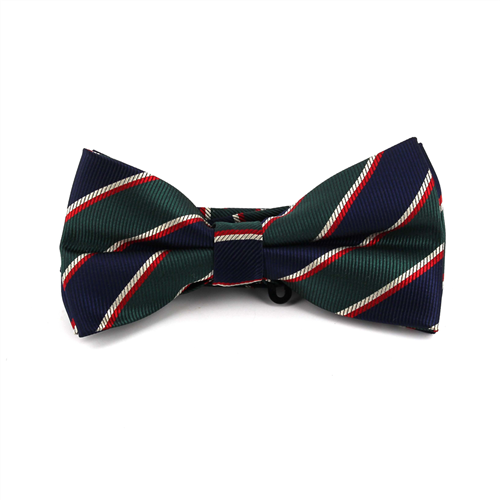 Nœud Papillon à rayures bleu marine et vert