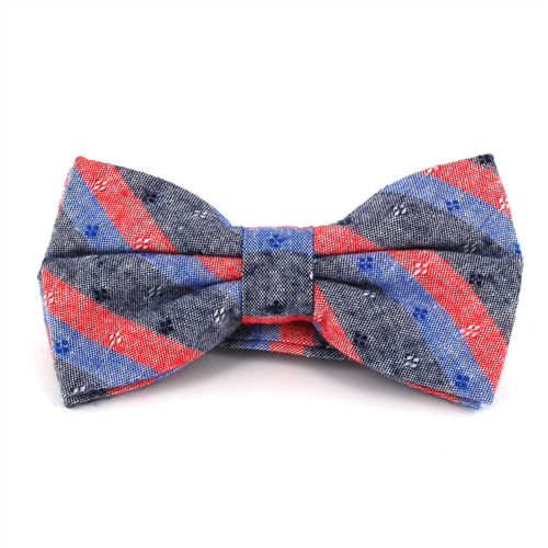 Nœud Papillon à rayures gris, rouge et bleu