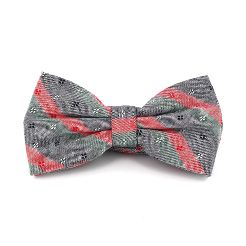 Nœud Papillon à rayures gris, rouge et vert