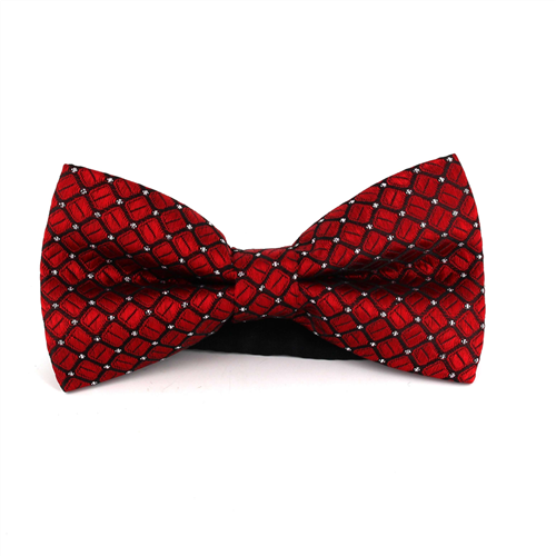 Nœud Papillon rouge à carreaux et pois