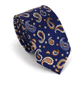 Cravate Étroite Paisley Bleu Marine
