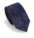 Cravate Étroite Paisley Céleste et Marron