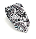 Cravate Étroite Paisley Noire et Blanche
