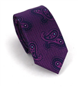 Cravate Étroite Paisley Violet et Bleu