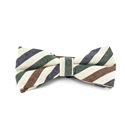 Nœud Papillon en coton à rayures multicolores