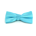 Nœud Papillon Bleu Eau Points Brillants