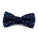Nœud Papillon Bleu à Pois Céleste