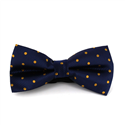 Nœud Papillon Bleu à Pois Dorés