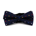 Nœud Papillon Bleu à Pois Multicolores