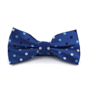 Nœud Papillon Bleu à Pois Multicolores