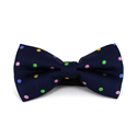 Nœud Papillon Bleu à Pois Multicolores