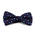 Nœud Papillon Bleu à Pois Multicolores