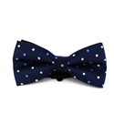 Nœud Papillon bleu à pois multicolores