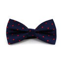 Nœud Papillon Bleu à Pois Rouges