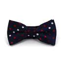 Nœud Papillon Bleu Marine à Pois Multicolores