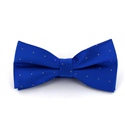 Nœud Papillon bleu à pois brillants