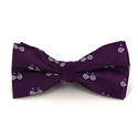 Nœud Papillon Vélos Violet