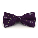 Nœud Papillon Vélos Rétro Violet