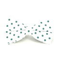 Nœud Papillon Blanc à Pois Verts