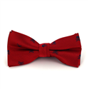 Nœud Papillon crânes rouges